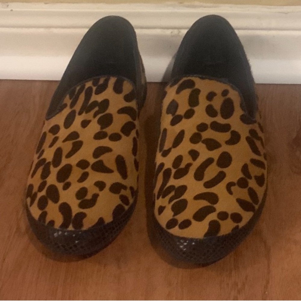 Cluch Leopard